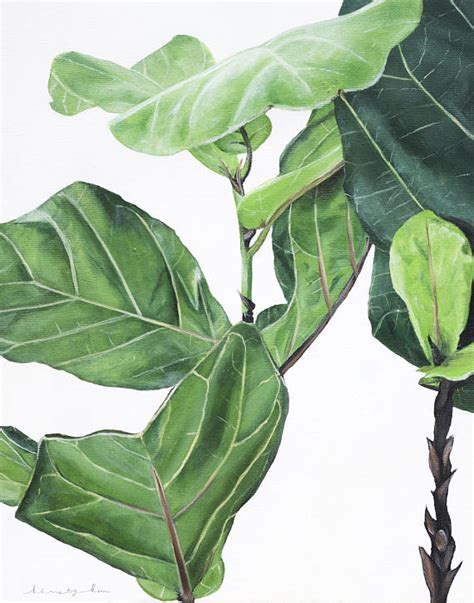 Fig Leaf Painting at PaintingValley.com | Explore collection of Fig ...