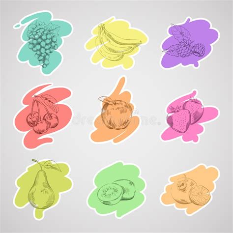 Collection Fruits stock illustration. Illustration of leaf - 43432460