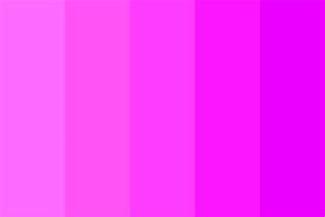 Magenta Miracle Color Palette | Color, Color palette, Color names