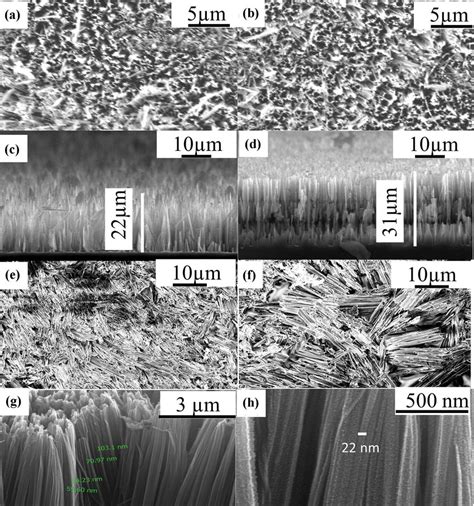 FESEM images of: a top view of etched silicon wafer after 5 min etching ...