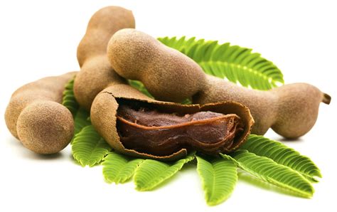 35 Surprising Health Benefits of Tamarind Fruit - Dr Heben