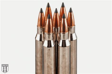 Top 10 Best Sniper Rifle Cartridges for When You Need to Make the Shot