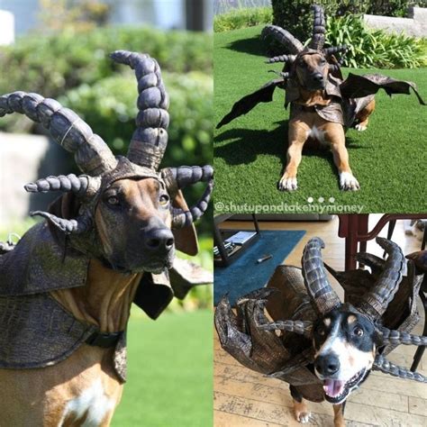 Dragon Dog Costume - Shut Up And Take My Money