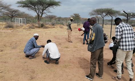 Conservation Technology: A Glimpse into the Future of Cheetah ...