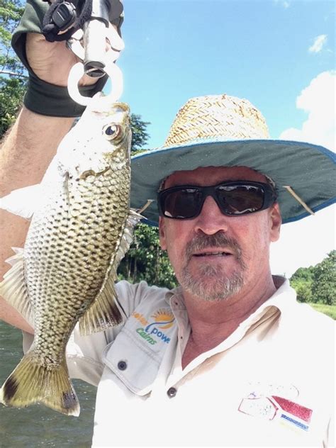 Fish Species Of North Queensland - Jungle Perch