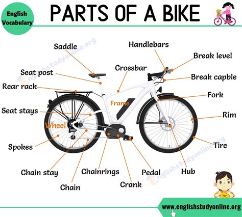 Bike Parts: Different Parts of A Bike with Interesting ESL Image ...