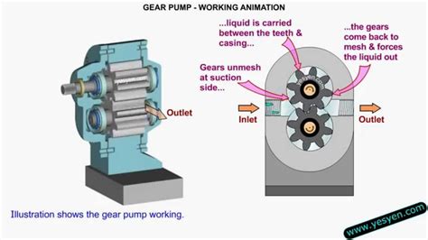 Gear Pump: External Gear Pump Animation