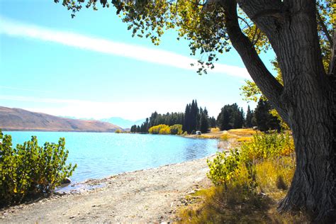 Stunning autumnal colours in Lake Tekapo | Lake tekapo, Lake, Natural ...