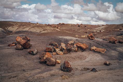 ULTIMATE GUIDE TO PETRIFIED FOREST NATIONAL PARK - Smilkos Lens