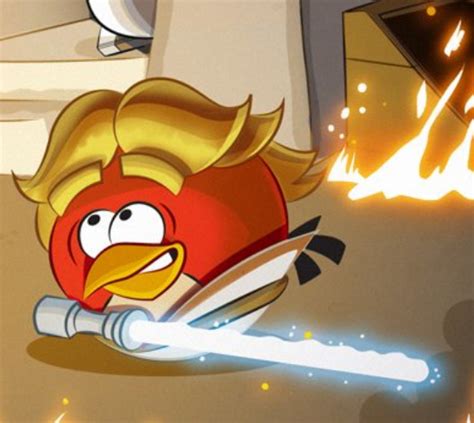 Luke Skywalker | Angry Birds story Wiki | Fandom