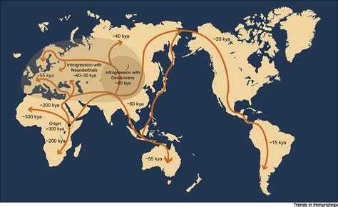 Migration Map Of Early Humans