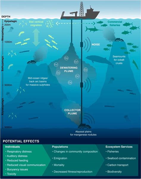 Penambangan Dasar Laut Dalam - The Ocean Foundation