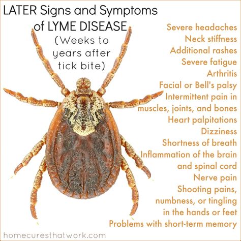 Lyme Disease - An All-round Challenge - MP Integral