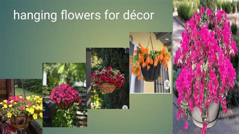 hanging #basket #flowers # décor indoor #outdoor #short #video - YouTube