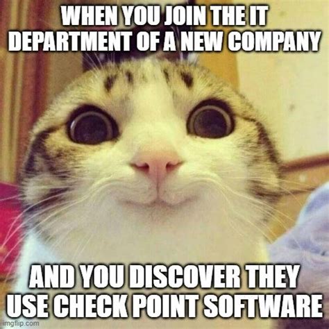 11 hilarious cybersecurity memes of cats