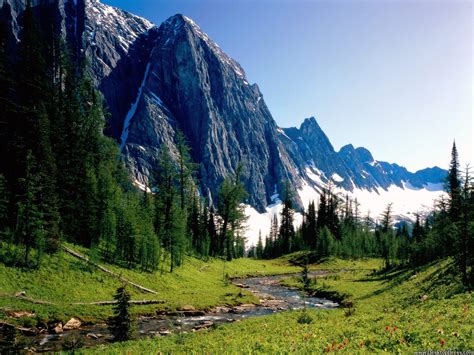 Desktop Wallpapers » Natural Backgrounds » Winding Stream, Banff ...