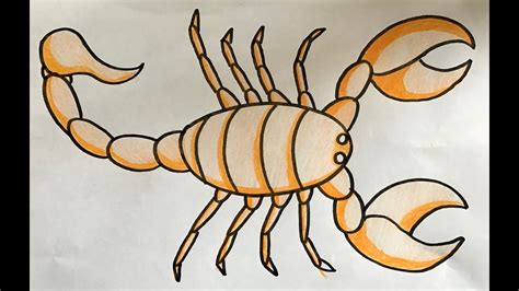 Easy Scorpion Drawings