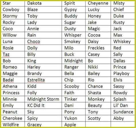 horse names