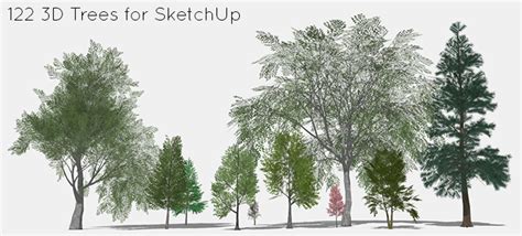 122 3D Trees for SketchUp | SketchUcation