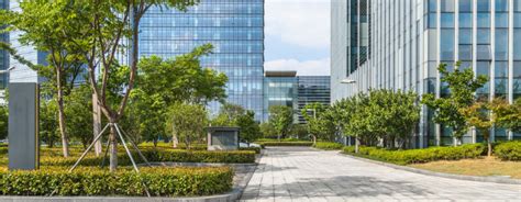 Landscaping Ideas for Commercial Property, Office Buildings & More