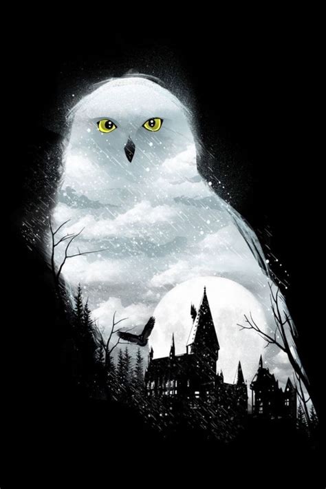 Hedwige | Pintura de harry potter, Arte de harry potter, Dibujos de ...