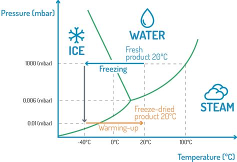 About freeze drying | Freeze drying process