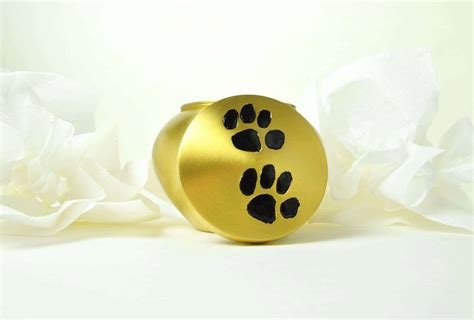 Dog Cremation 101 – Everything You Need To Know | PawLeaks