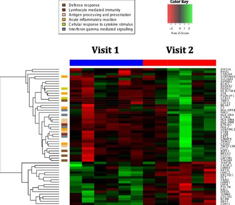 A heat map of log 2 gene expression for the most differentially ...