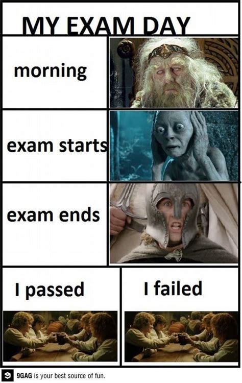 Exam week | Exam day, Exams memes, Funny pictures