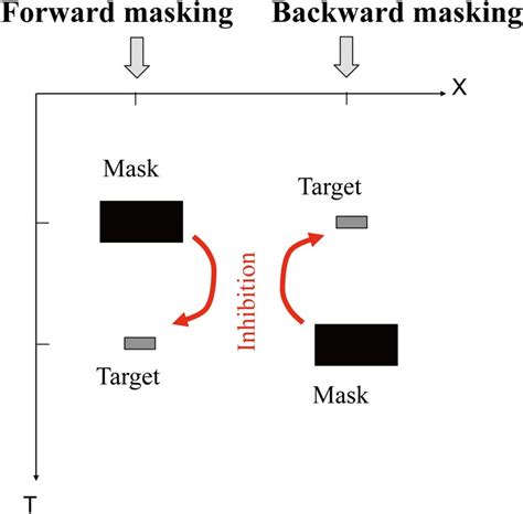 Forward masking (left) and backward masking (right). Space (X) × time ...