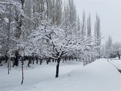 Winter in Gilgit-Baltistan I I Skardu Winter - Trango Tours