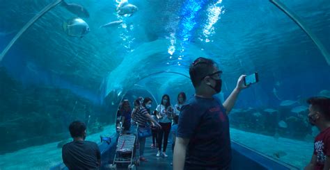 Manila Ocean Park - A must-visit Oceanarium in Philippines - Island Times