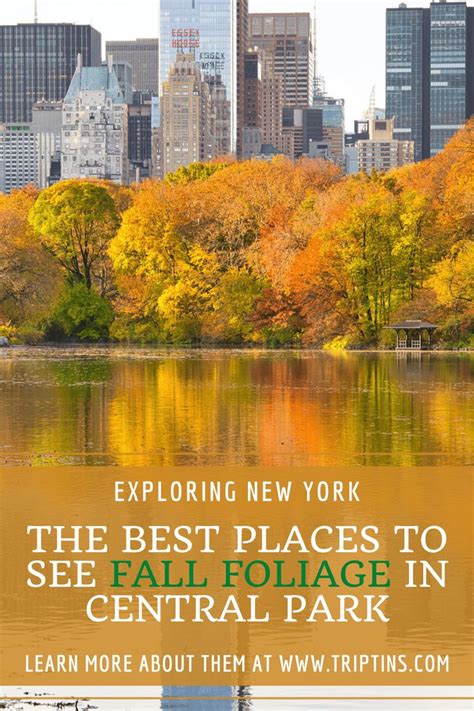 Central Park Fall Foliage Guide | 2023 Best Locations & Foliage Map ...