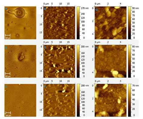 Optical microscopy (A-C), scale bar 100 µm, AFM images with scale bar ...