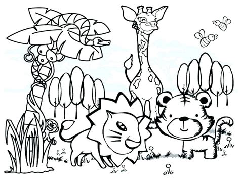 Rainforest Animals Adult Coloring Pages Coloring Pages