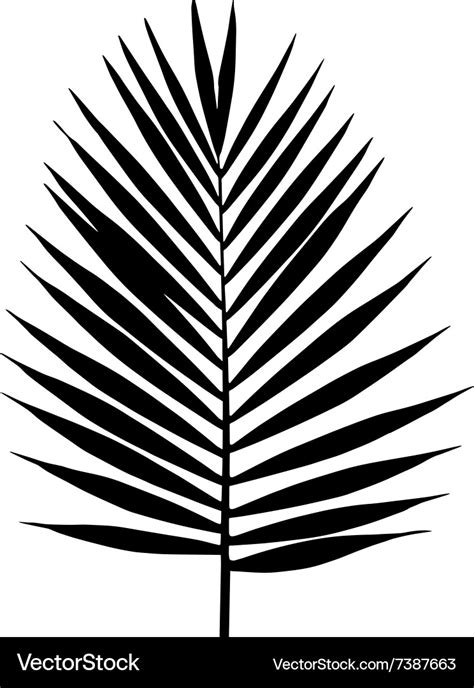 Palm leaf silhouette tropical leaves Royalty Free Vector