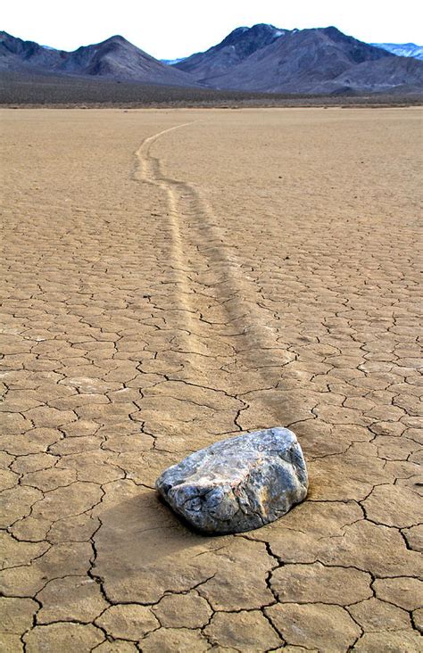 The Winner Death Valley Moving Rock Photograph by Ed Riche