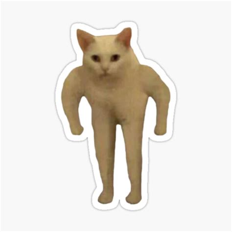 "Buff Cat meme" Sticker for Sale by 7NATION | Redbubble