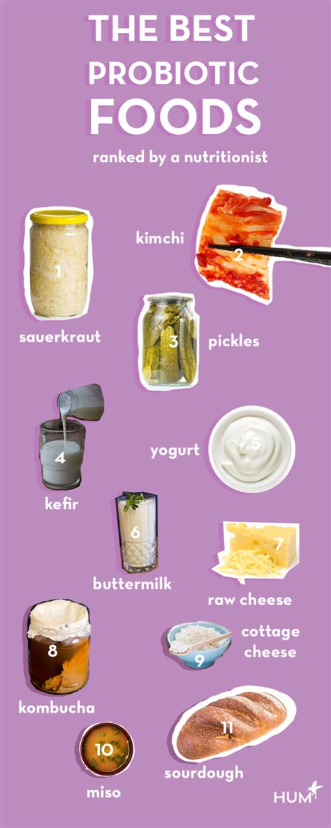 Printable List Of Probiotic Foods