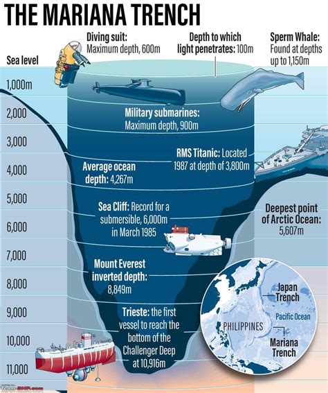 11+ Mariana Trench Diagram - StefenDaryl