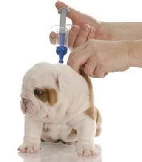 Veterinary Vaccines - Animal Vaccine Price, Manufacturers & Suppliers