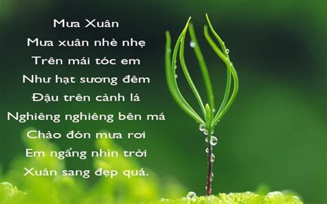 Bài Thơ Mưa Xuân Nhà Trẻ: Hình Ảnh + Giáo Án Thơ Mầm Non