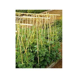 Pack of 25 Bamboo Stakes Tomato Fruit Trees Vegetable Garden Pepper ...