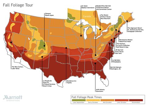 2024 Foliage Map - Wilie Julianna