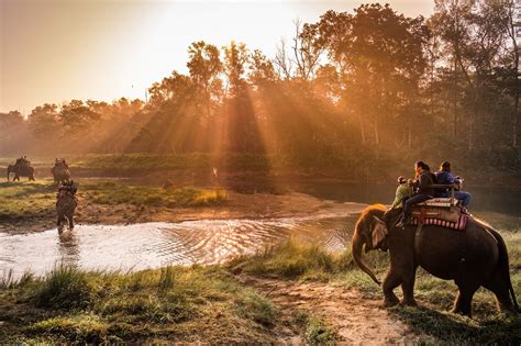 Chitwan Jungle Safari Tour | Safari tour, Tour packages, Trip