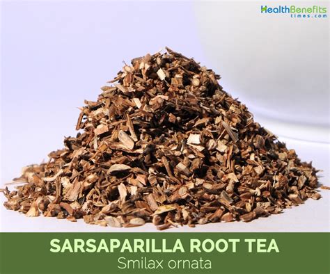 Sarsaparilla root tea benefits