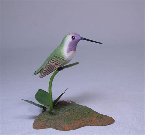 Costa’s Hummingbird – Birdhug Studio