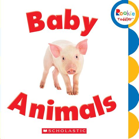 Baby Animals (Board Book) - Walmart.com