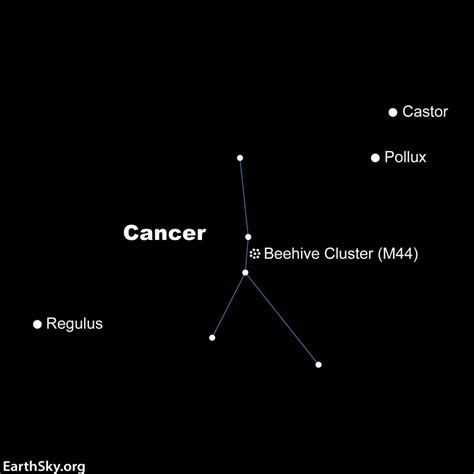 Meet Cancer the Crab and its Beehive Cluster - TrendRadars