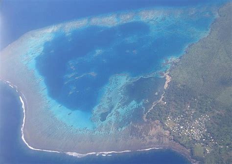 Fiji Snorkeling - How to do it on your getaway!